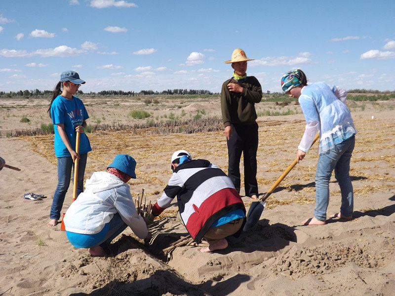 @N1.5ҊݸӣɳЧá^45͕L(fng)gҪa