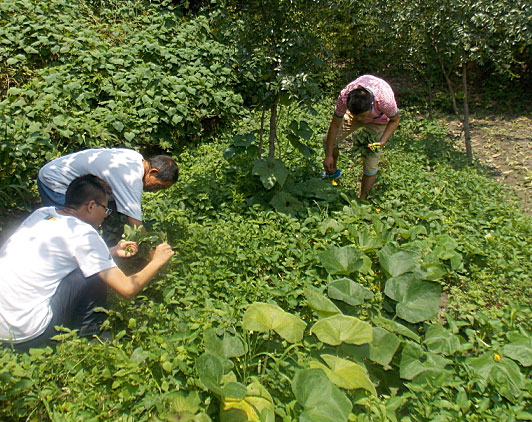 ڶ죬꠆T_ʼB(ti)rwrժˡ