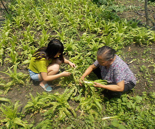 æ_yժĲ˲ϸժЧʵ^Ϥָ꠆ܿTMˠB