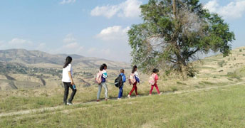 (yng)_(ki)kһģl(xing)֧ͺӻؼ