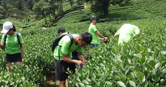 dW(xu)ԺϺW(xu)ԺƷ֪ȤɆT÷҉]ɲ